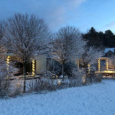Eden House Villa Druskininkai Dış mekan fotoğraf